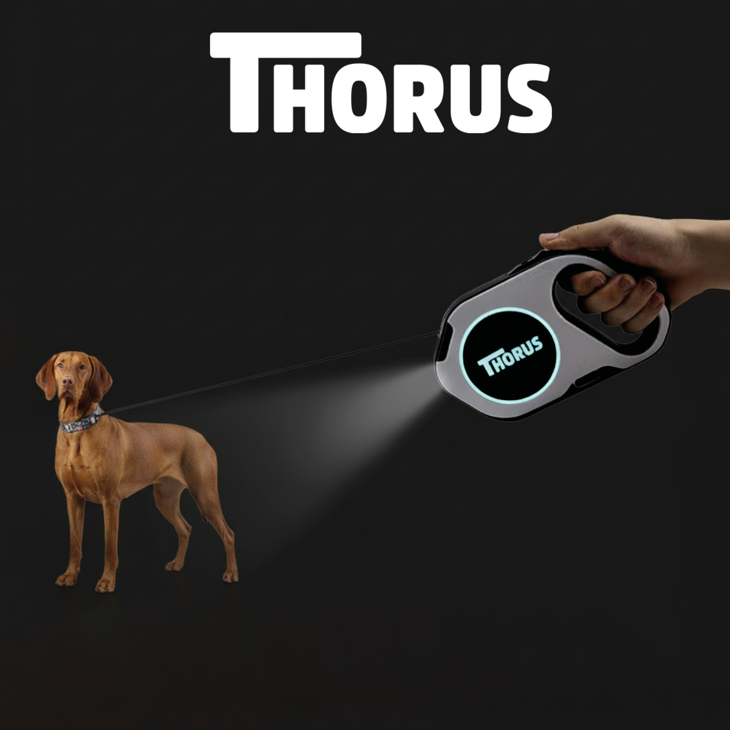 *NEU* Hundeleine - 5 Meter ausziehbar - mit LED-Licht