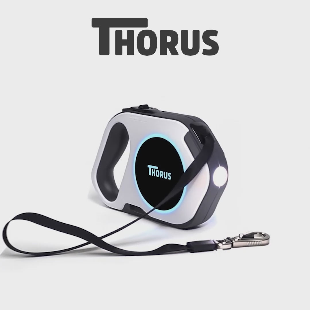 *NEU* Hundeleine - 5 Meter ausziehbar - mit LED-Licht